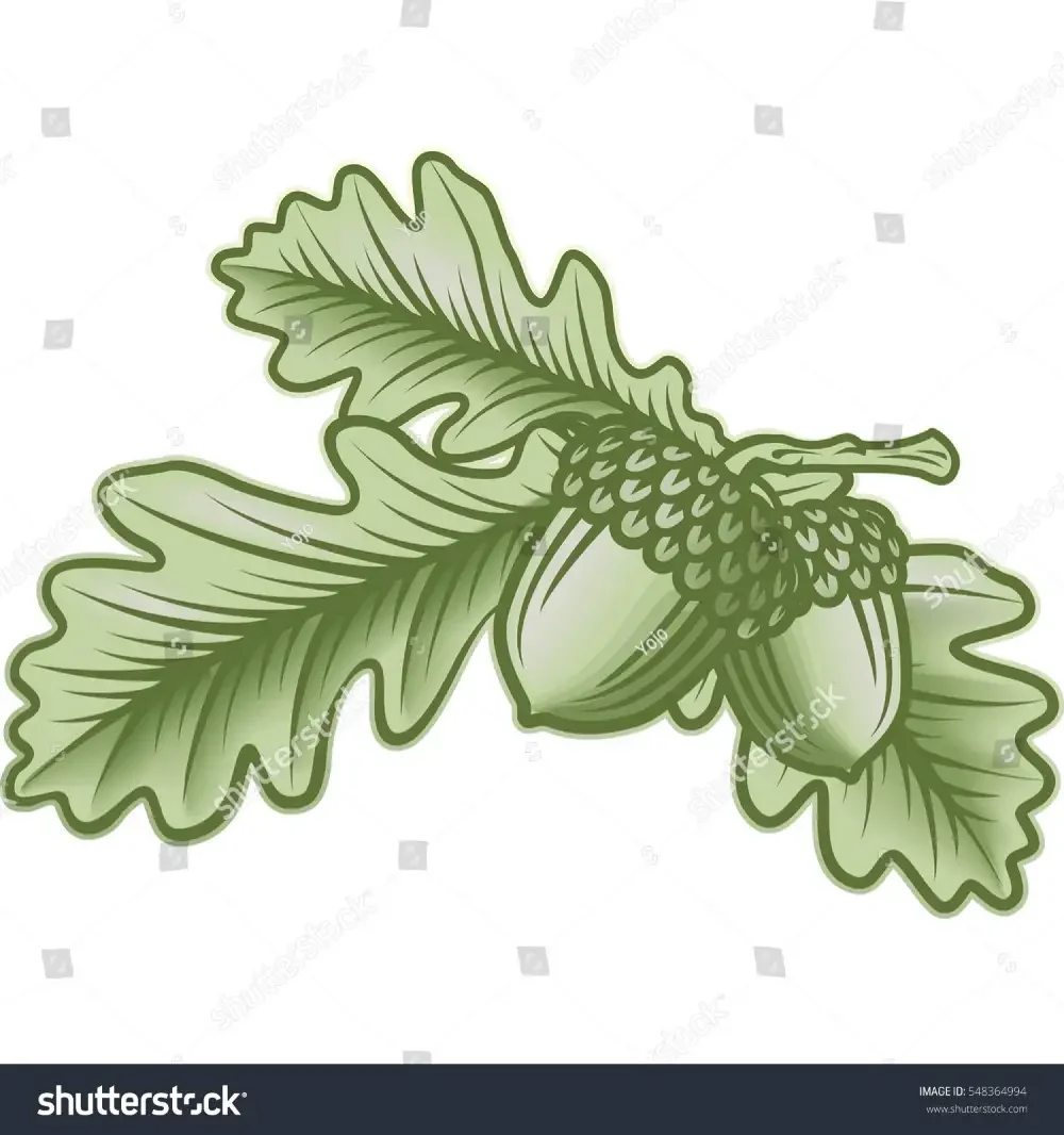 Дубовые листья орнамент