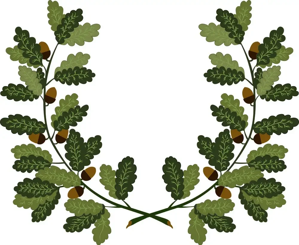 Ветвь оливы символ