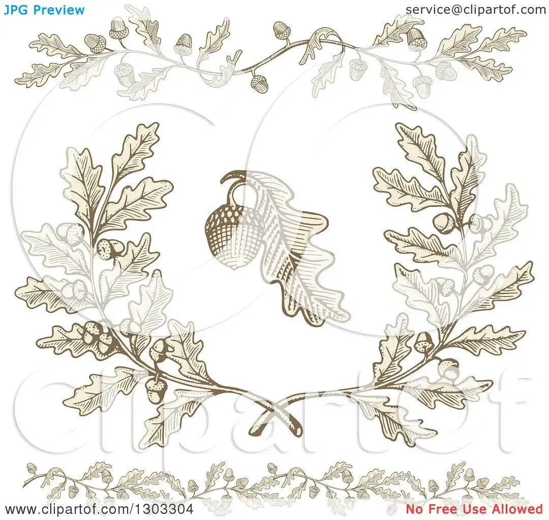 Эскиз тату ветки дуба с листьями