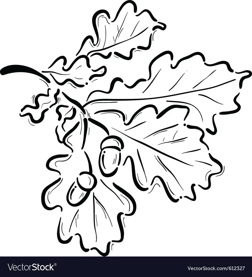 Узор дубовые листья