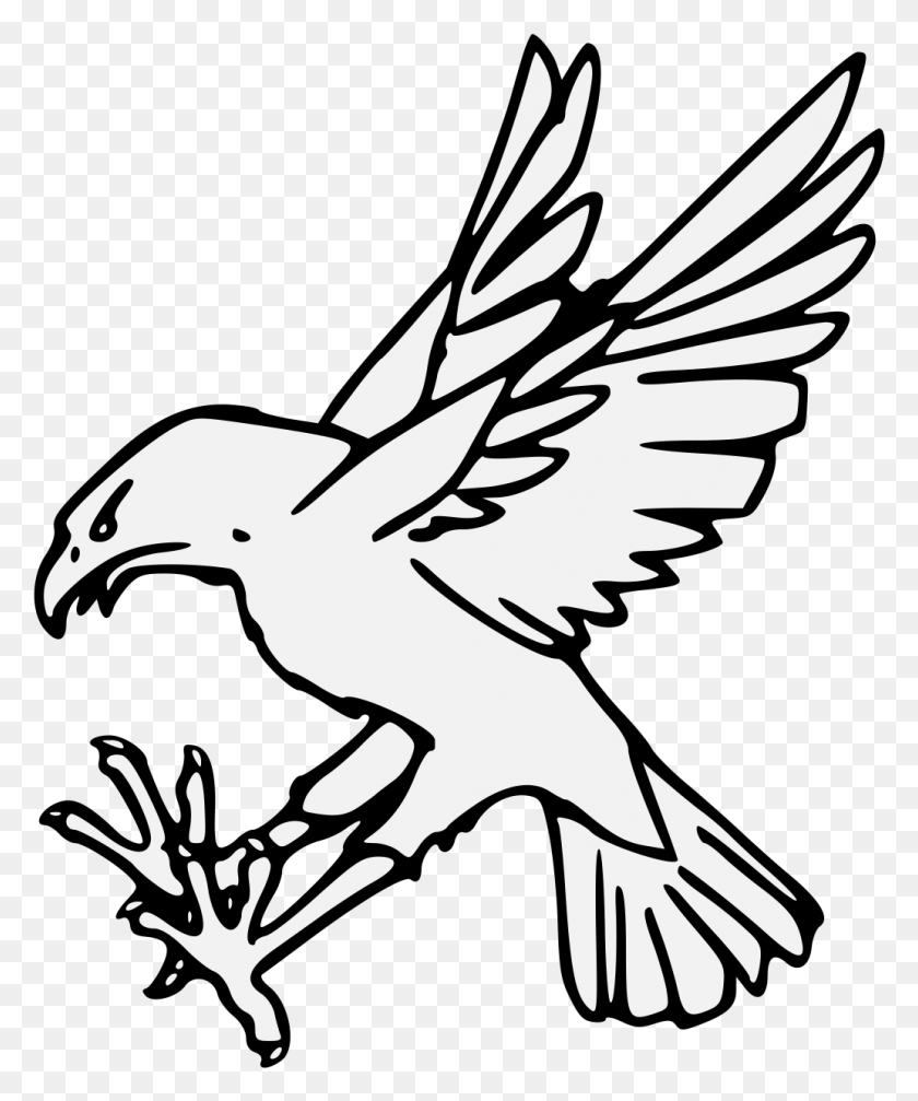 Орел раскраска для детей