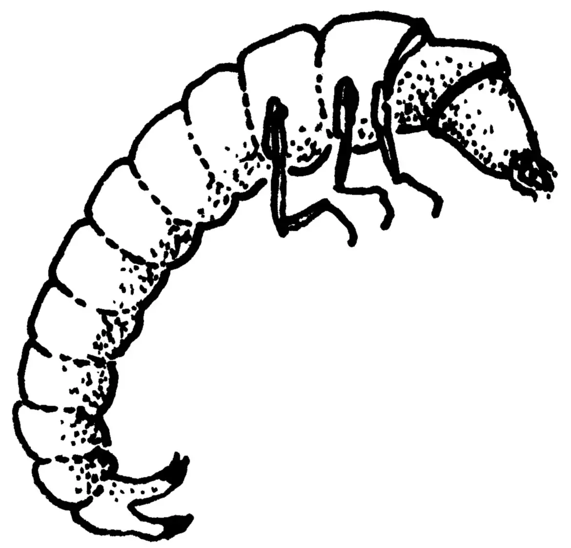 Раскраски феи сложные