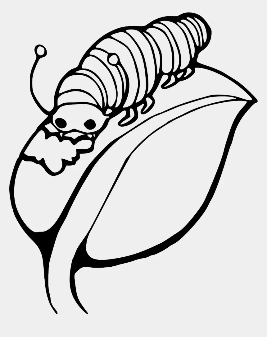 Гусеница векторный клипарт чб