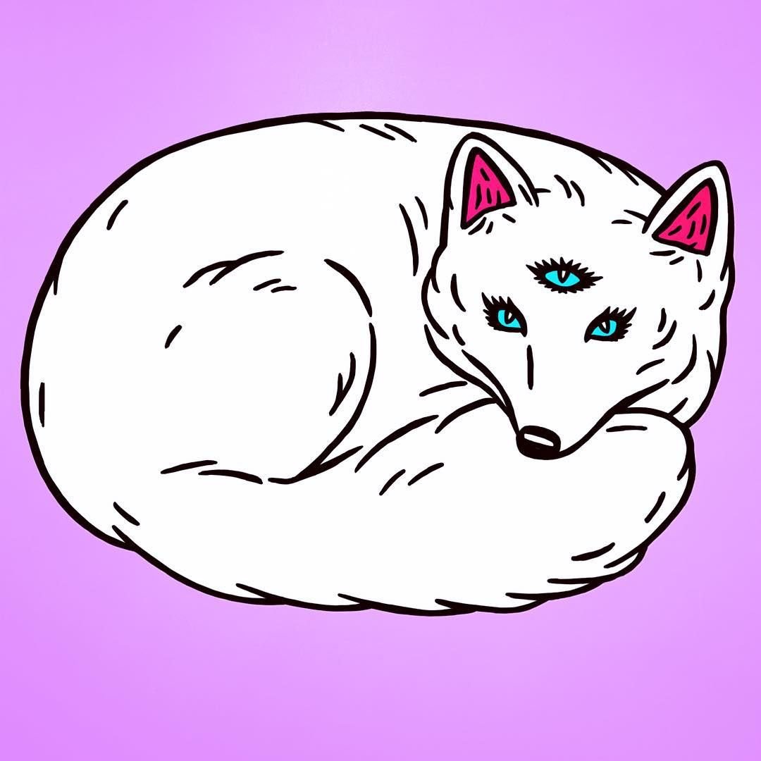 Песец раскраска