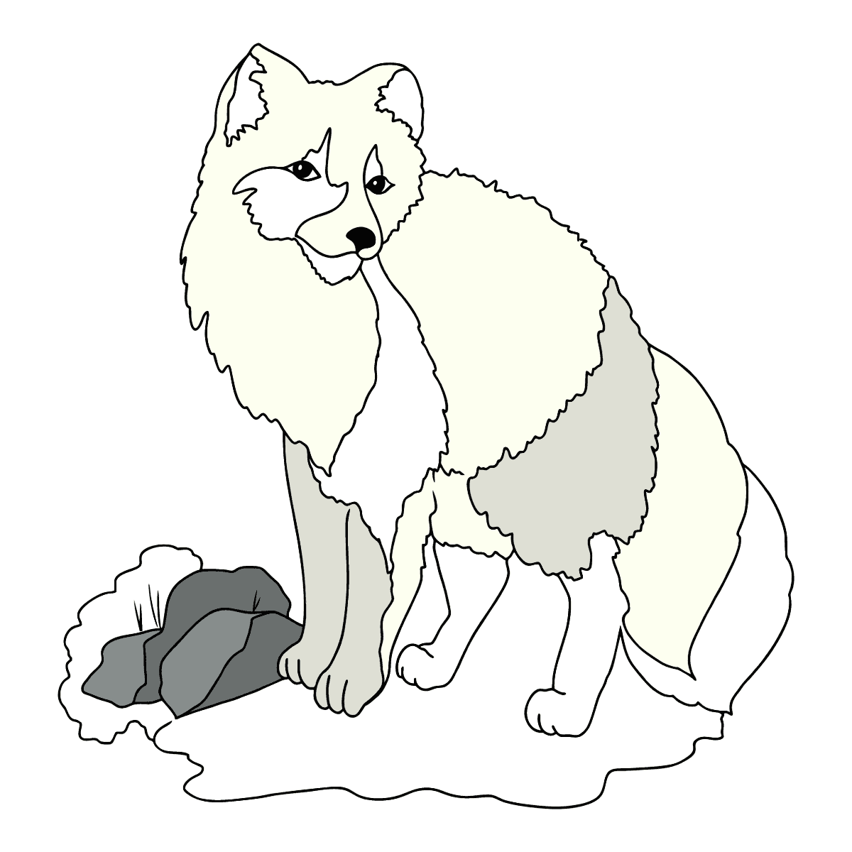 Фото песеца для расскрашенного лёгкие