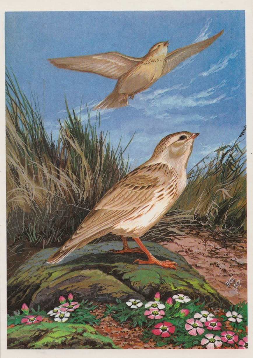 Глинка Михаил Иванович Жаворонок