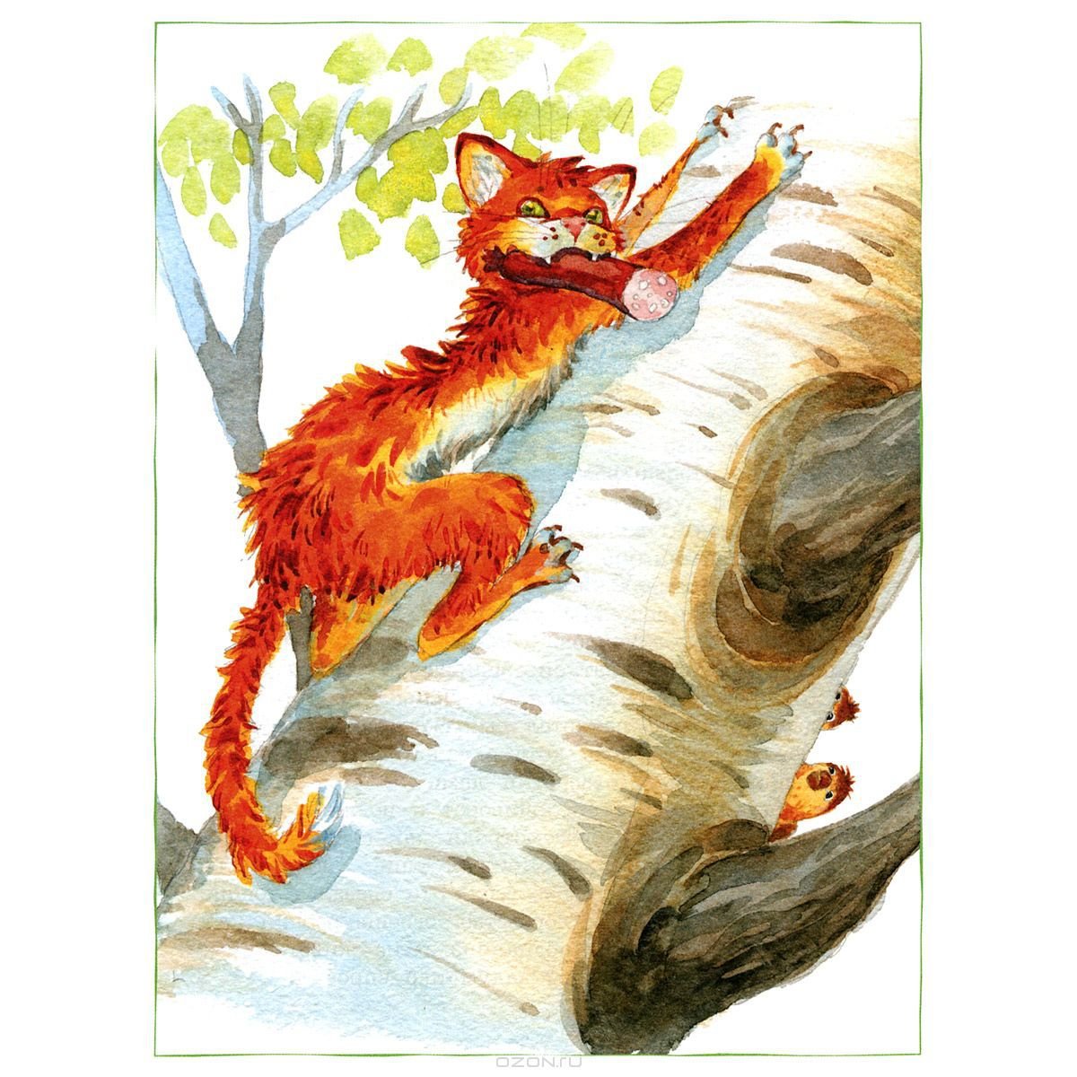 Книга кот ворюга Паустовский