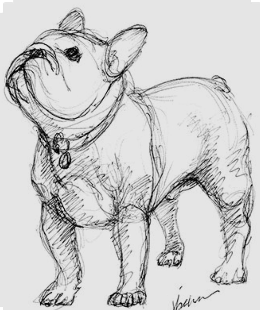 Бульдог Булька Лев Николаевич толстой