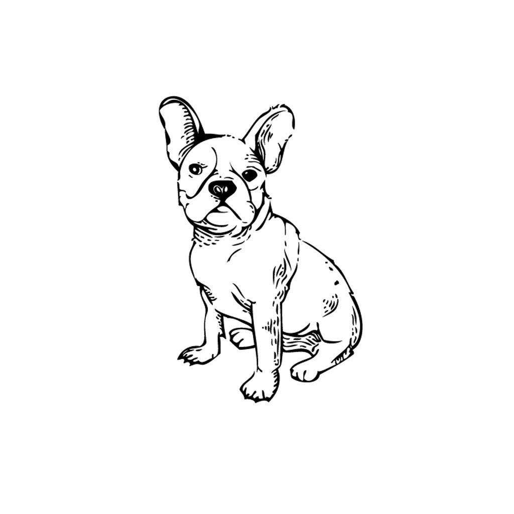 Разукрашка французский бульдог