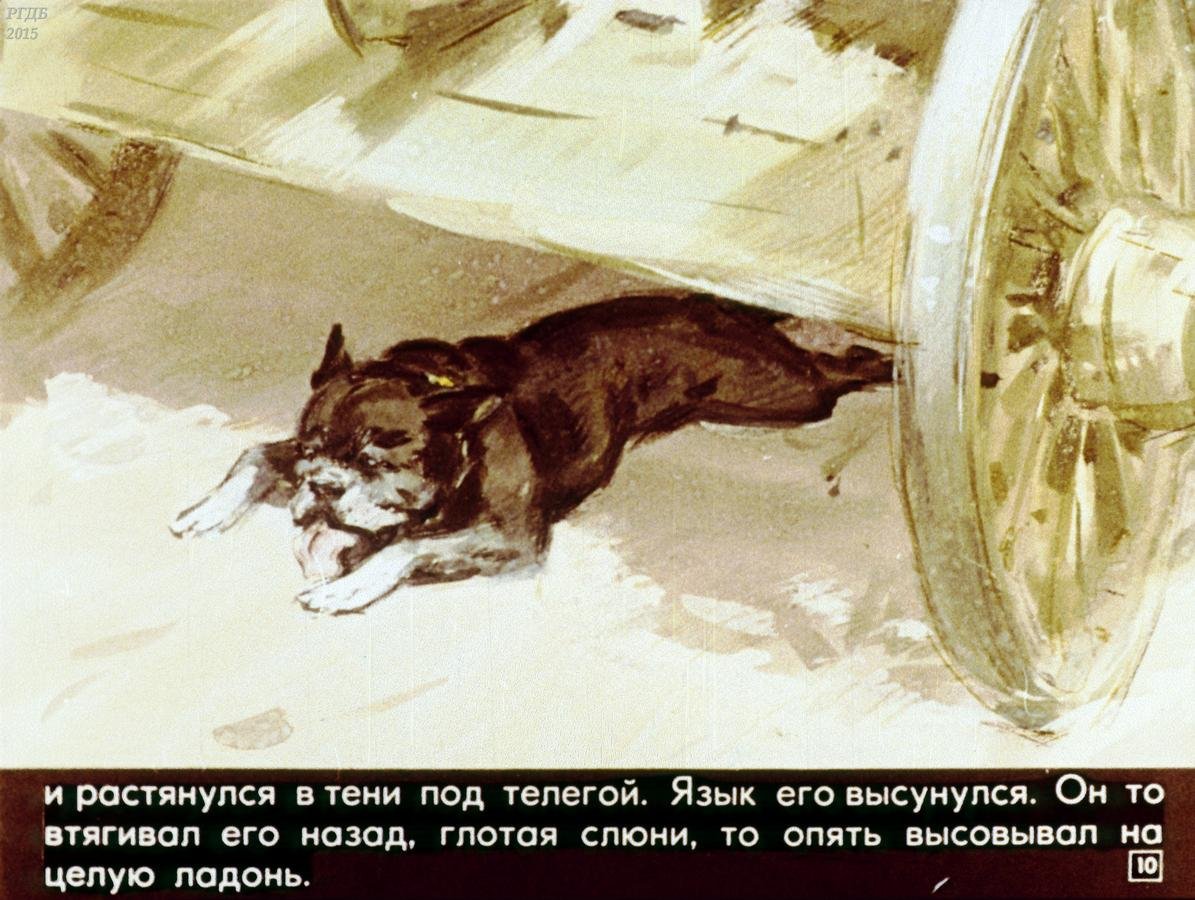 Мопс сбоку рисунок