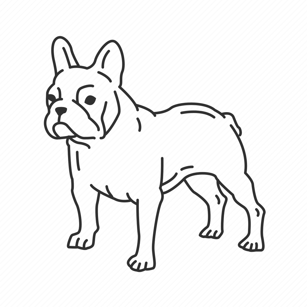 Французский бульдог морда сбоку