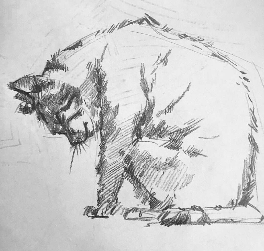 Зарисовки животных