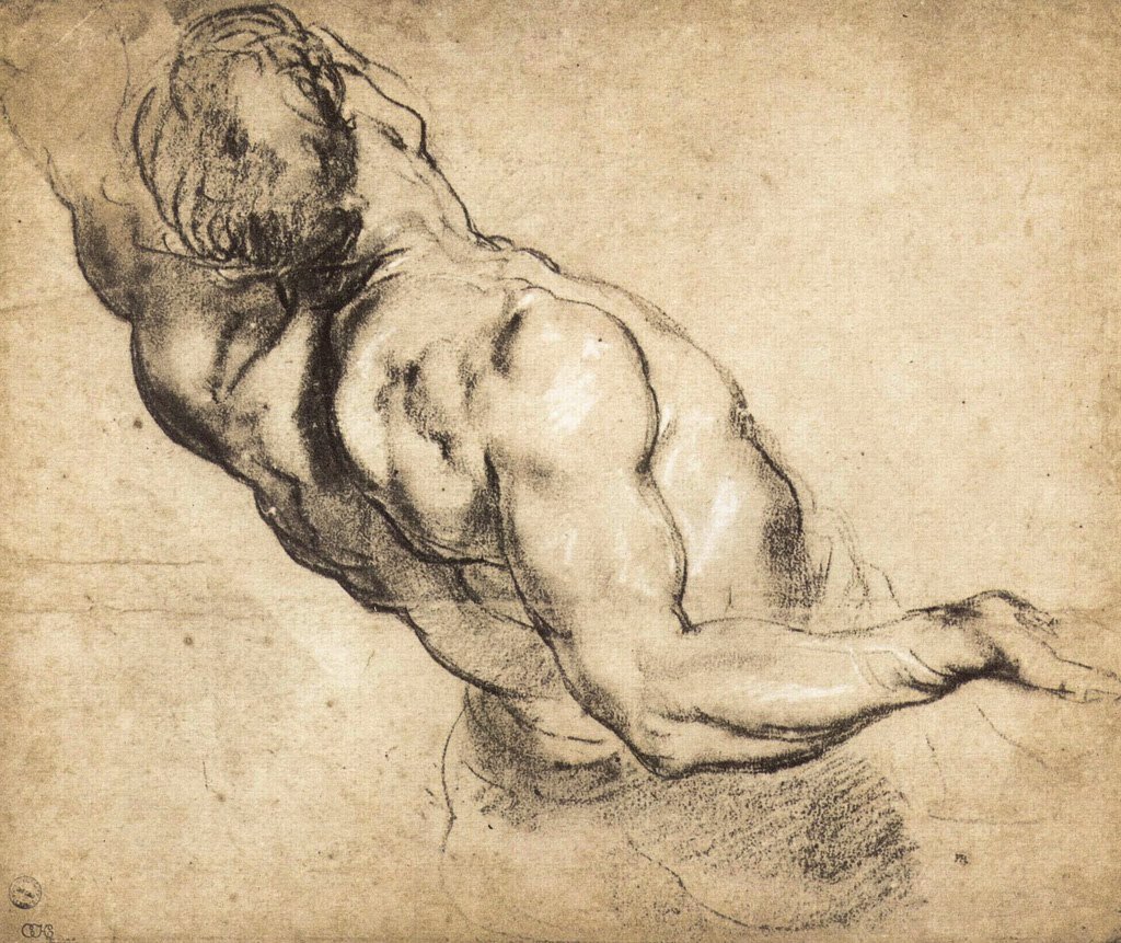 Штудии Микеланджело