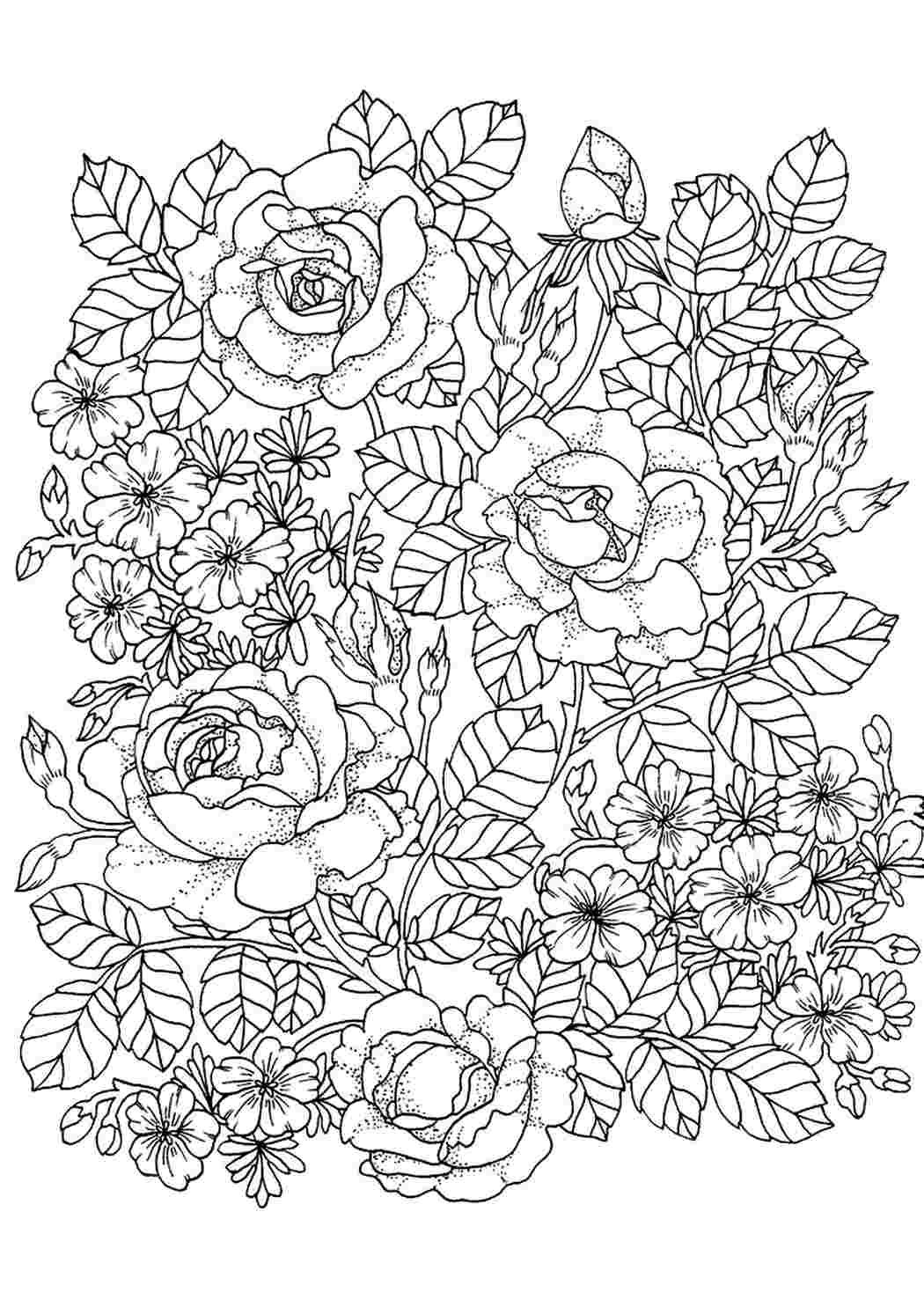 Раскраска цветы сложные