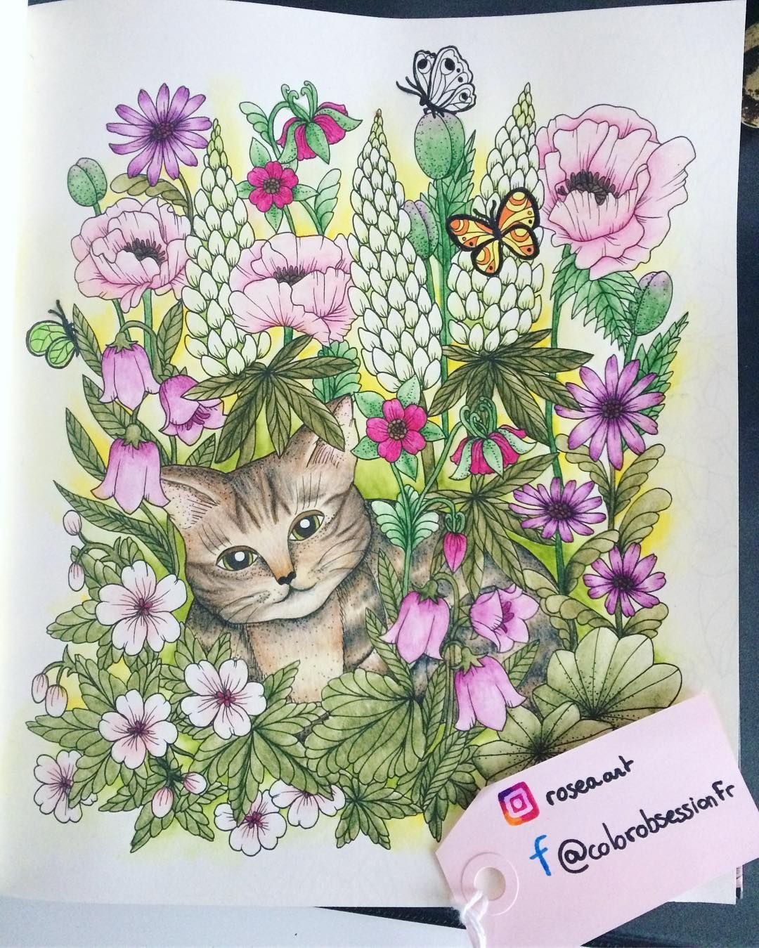 Мария тролле Сумеречный сад кошка