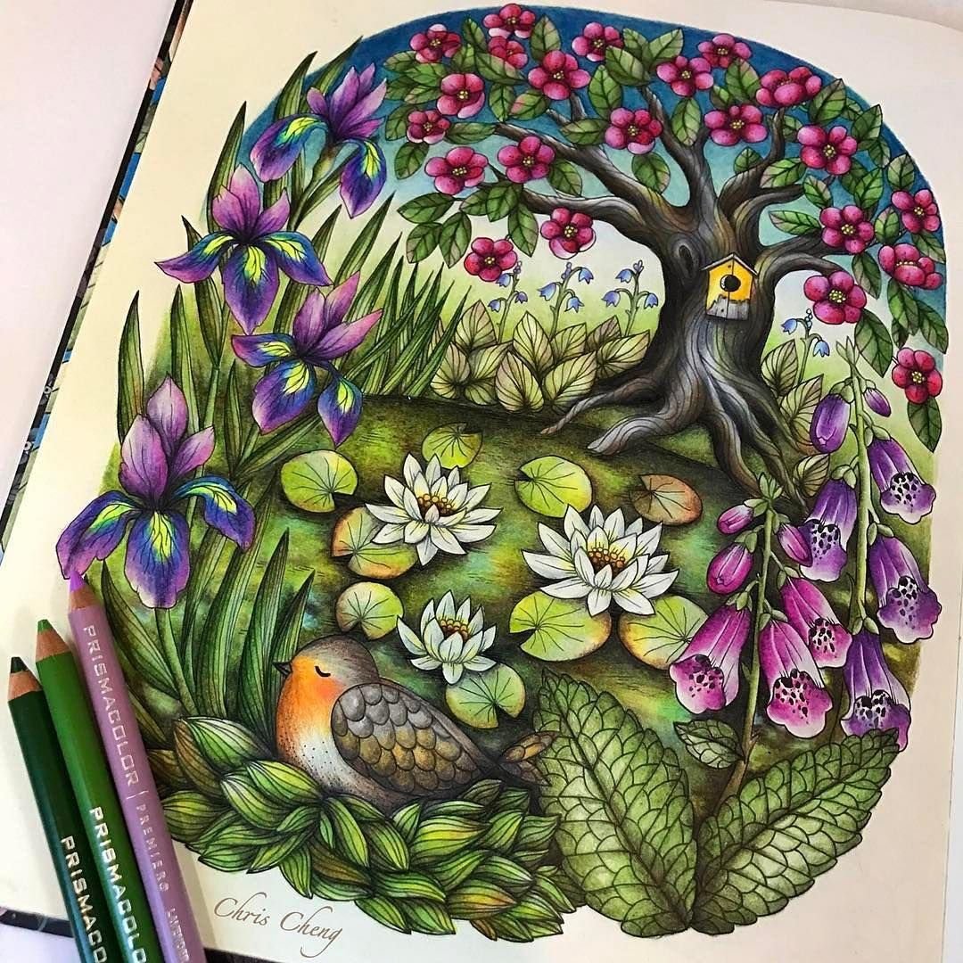 Крис Ченг Мария тролле