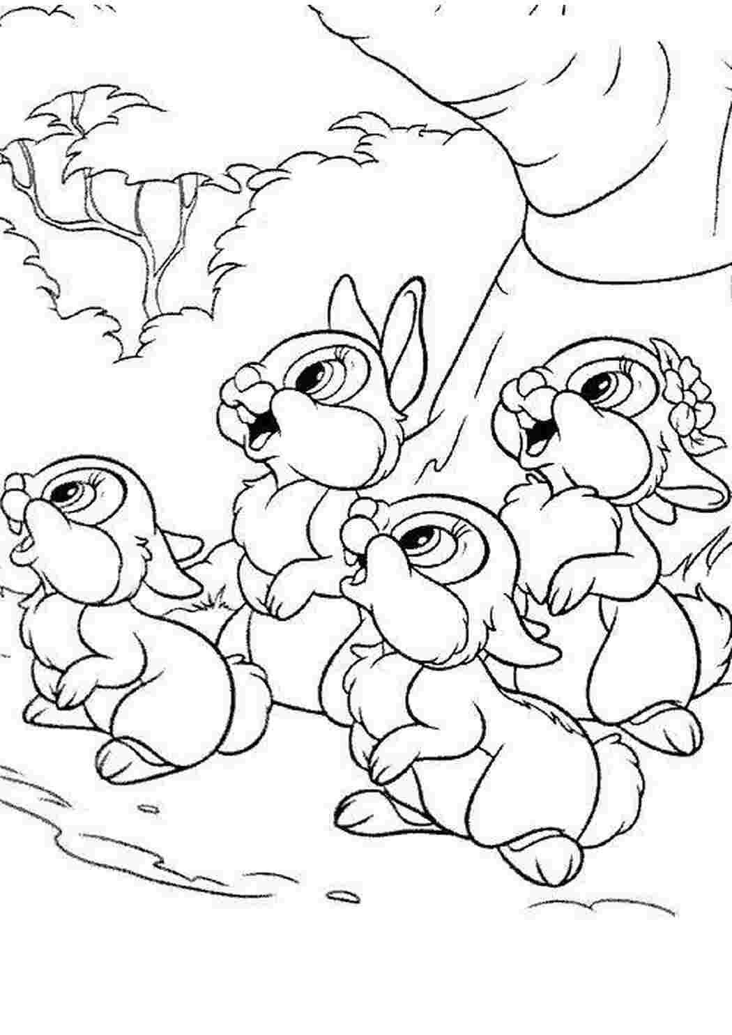 Раскраска зайчик для детей 5-6 лет