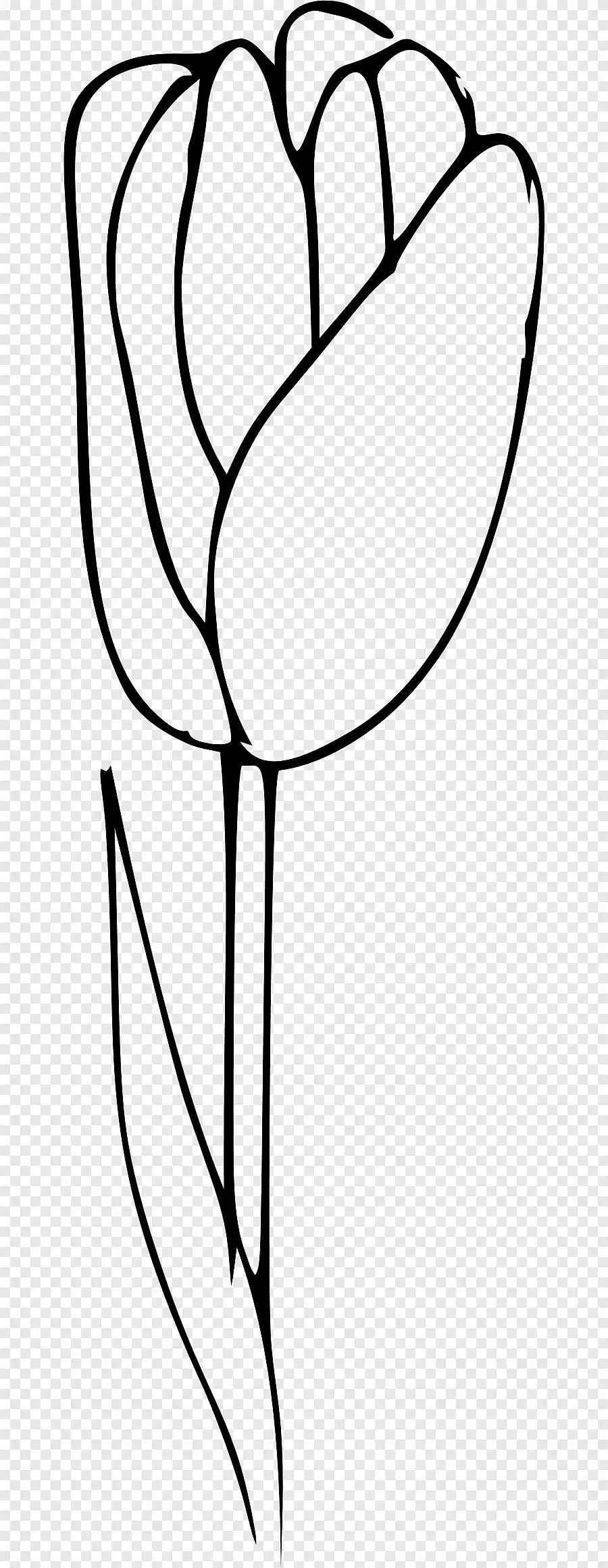 Раскраска семена растений