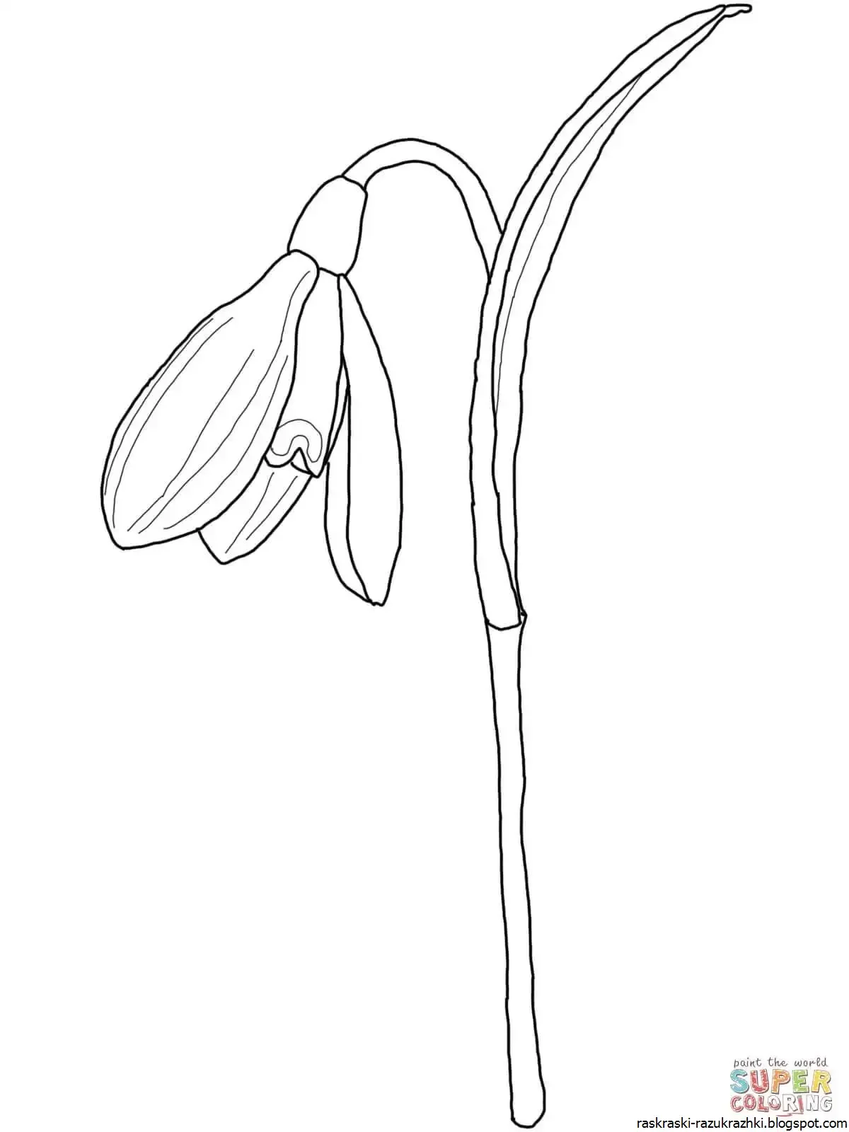 Лианы карандашом