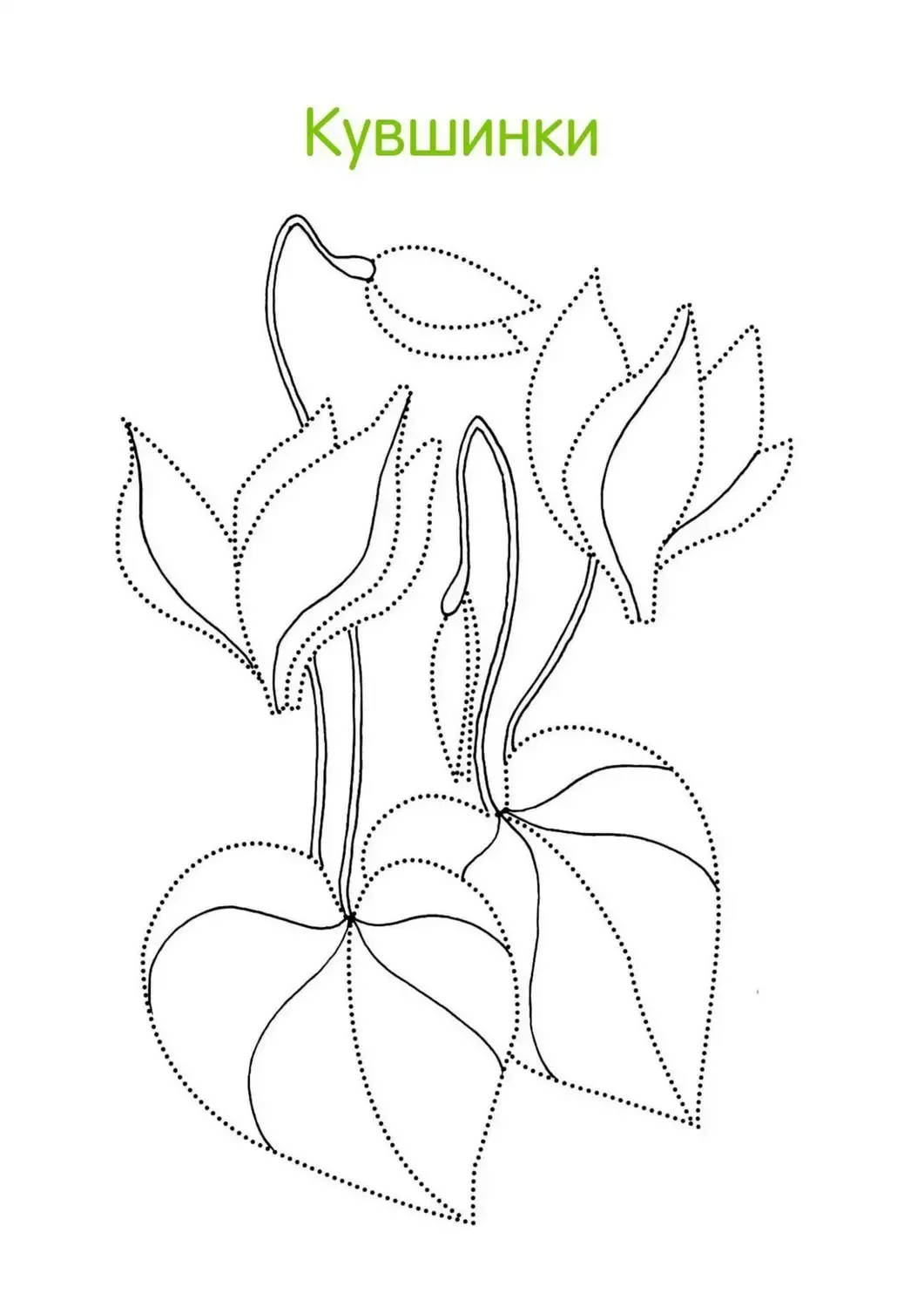 Гвоздика раскраска