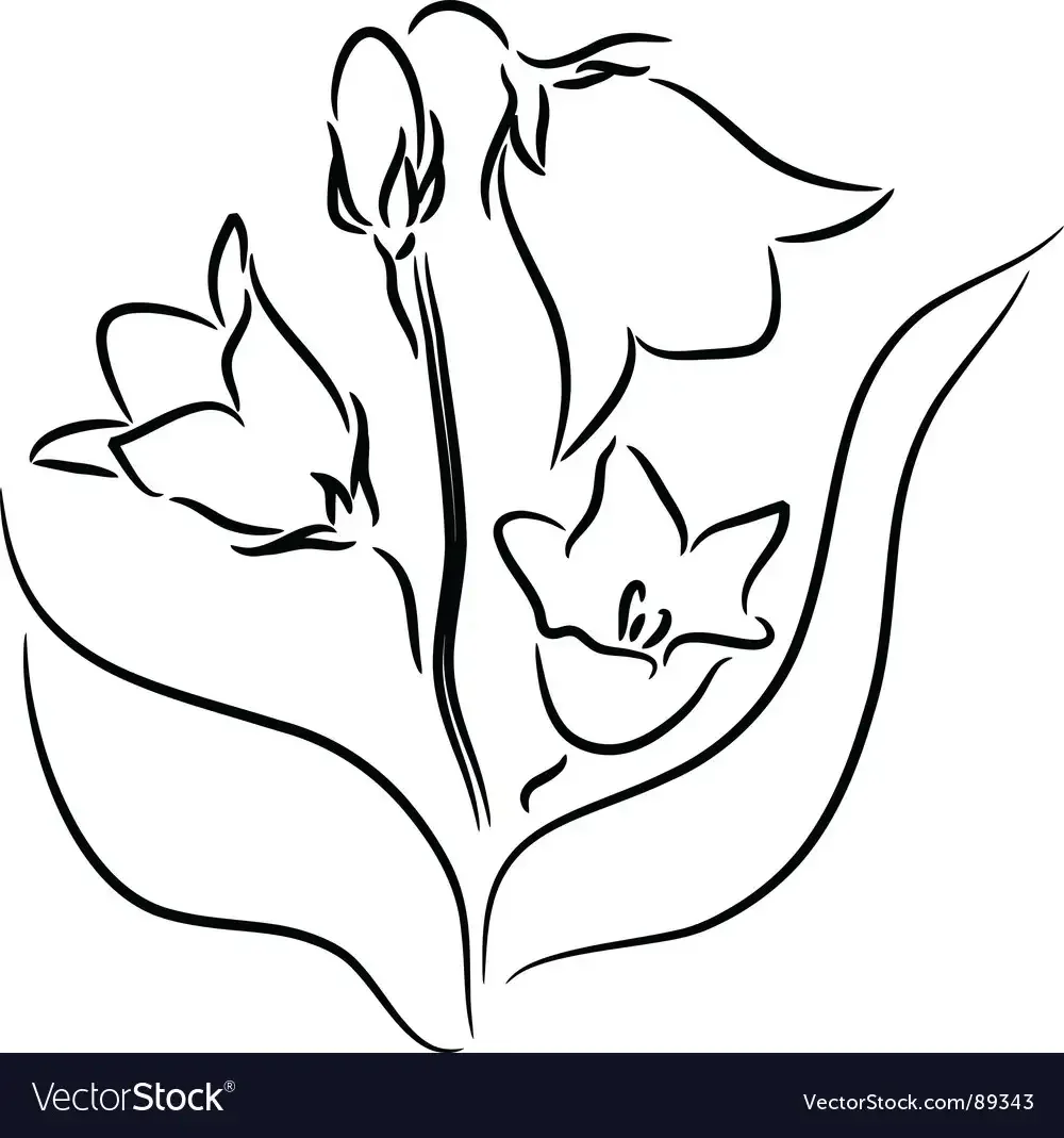 Крапива двудомная раскраска