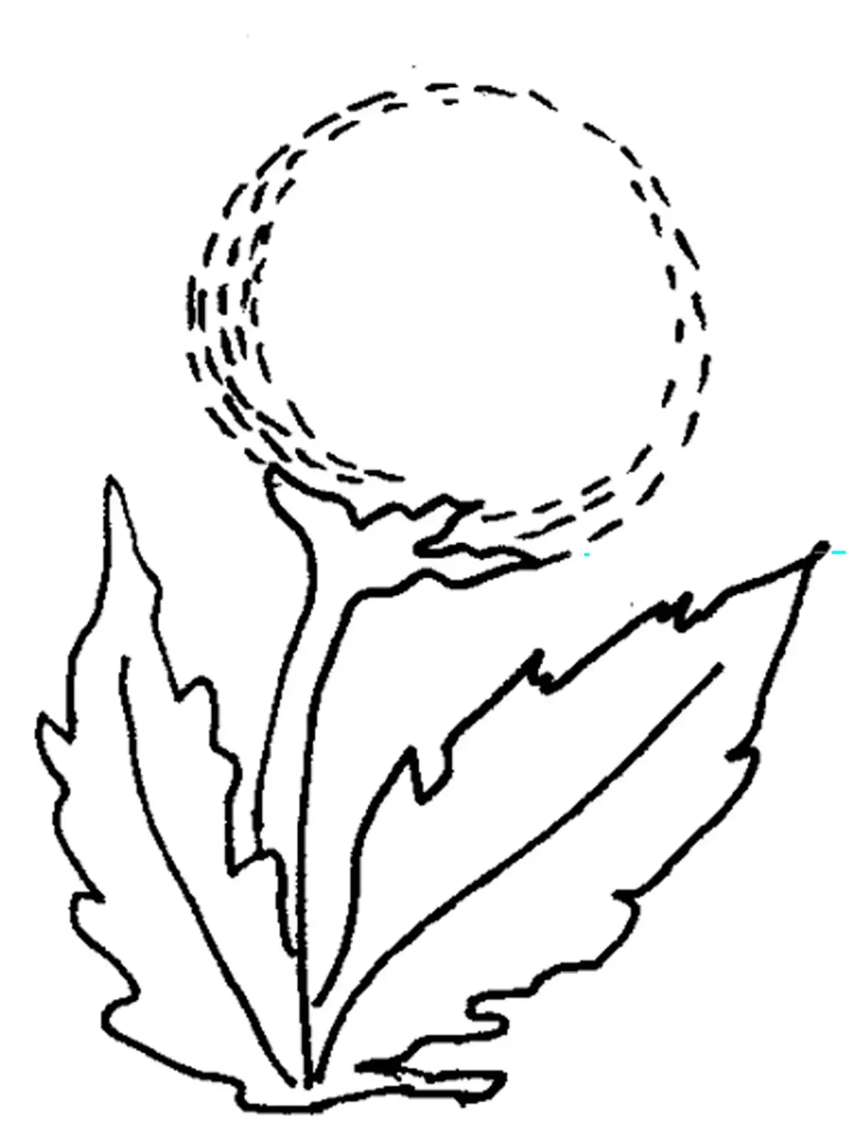 Веточка шаблон для аппликации