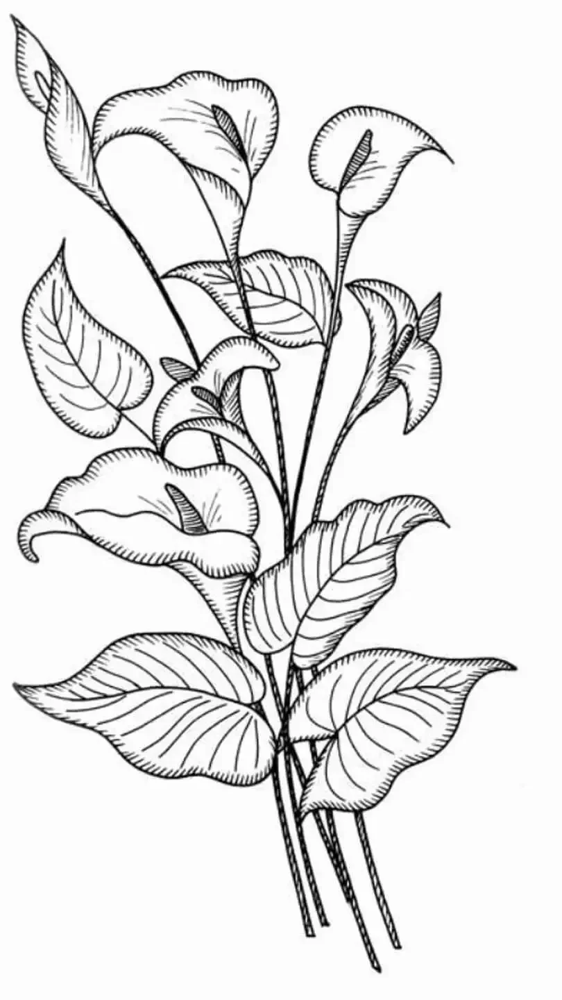 Стадии роста морковки для детей