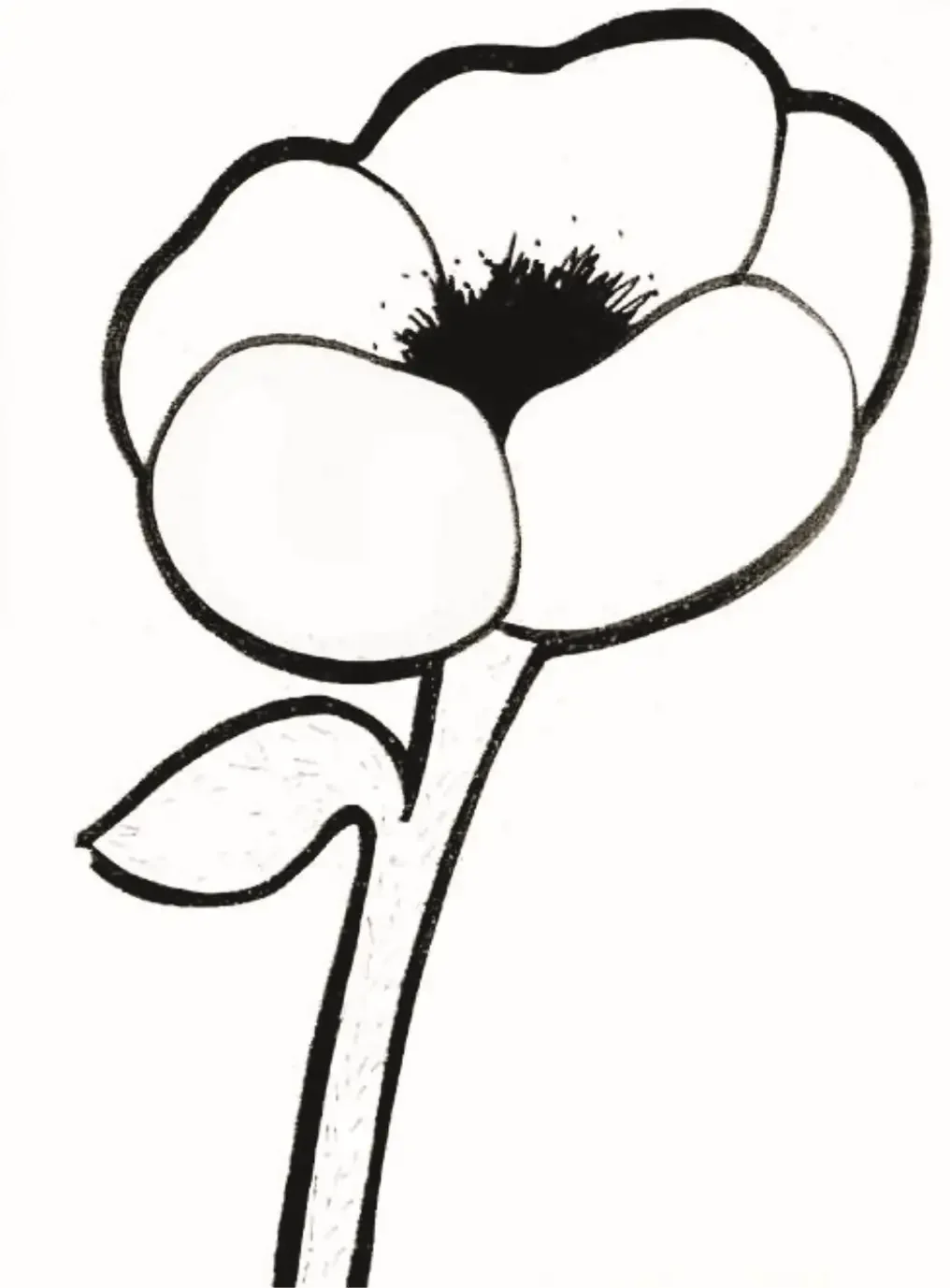 Тюльпан контур