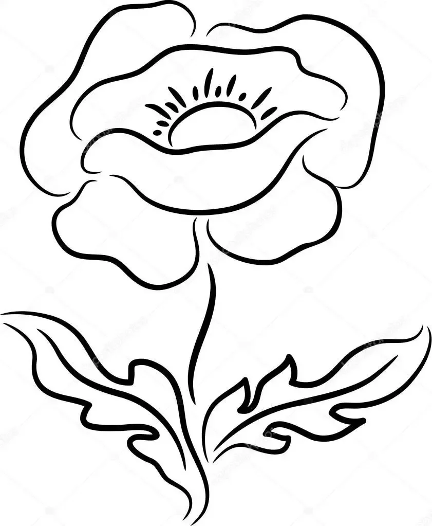 Каллы карандашом