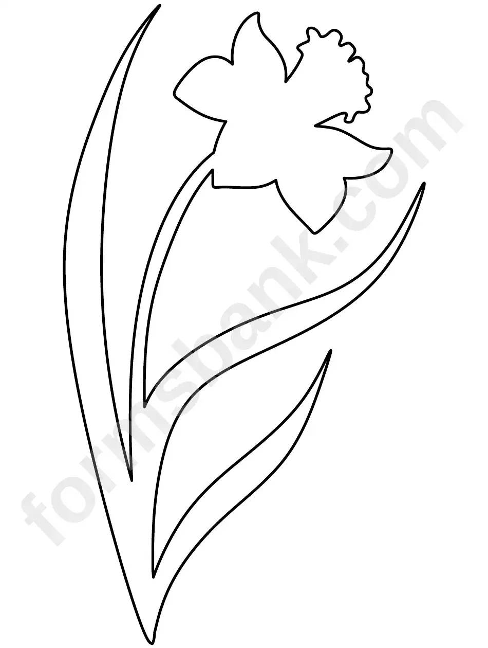 Тюльпан Шренка