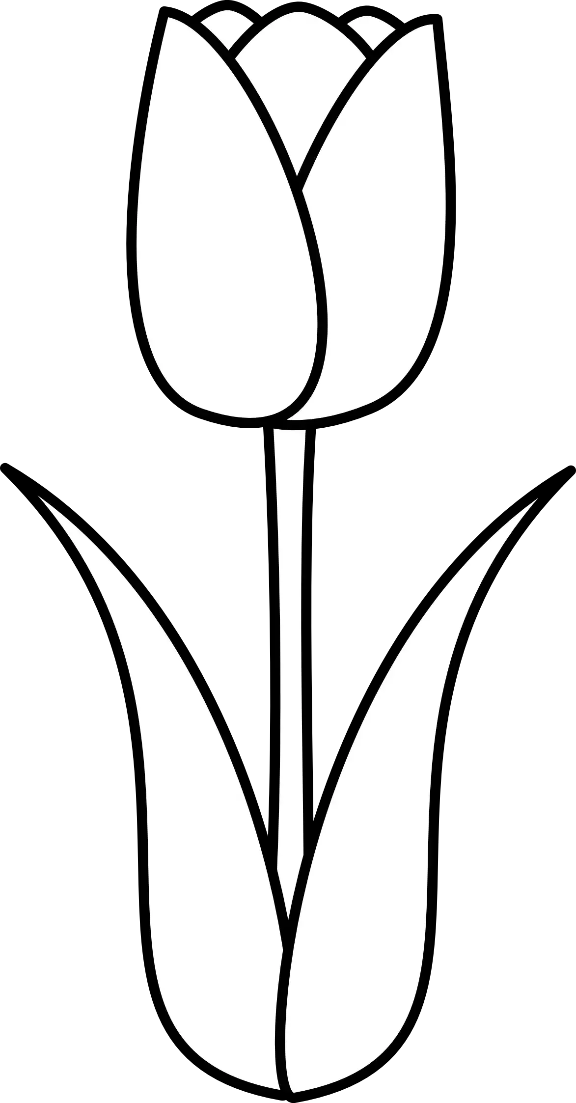 Растения. Раскраска