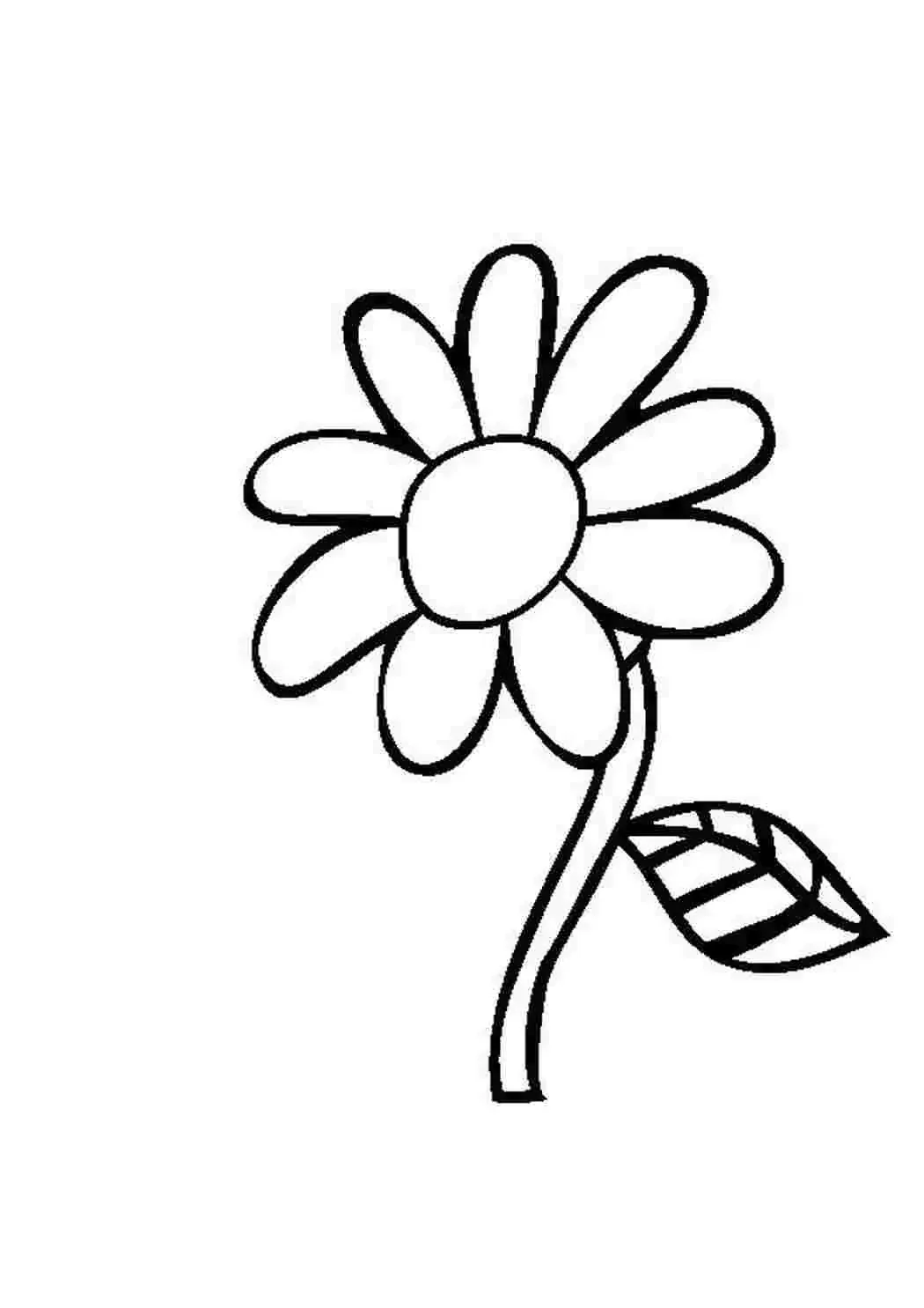 Стебли цветов