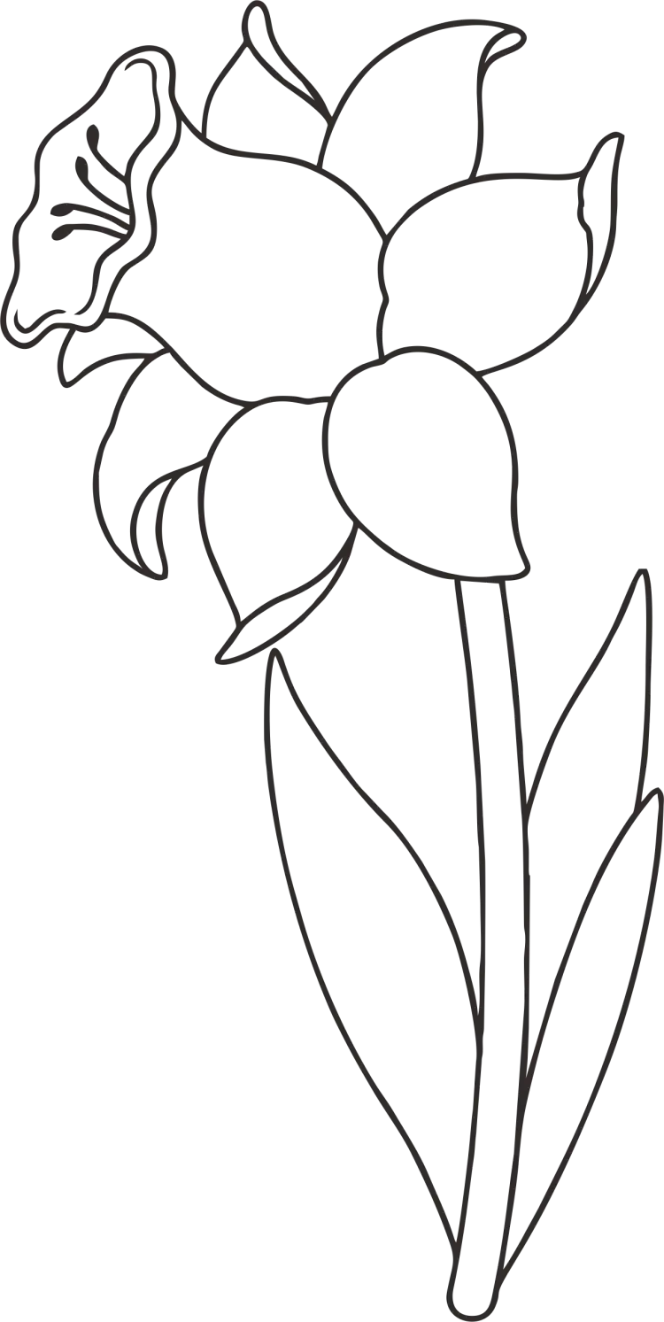 Стебель раскраска для детей