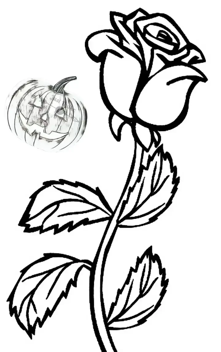 Ромашка карандашом