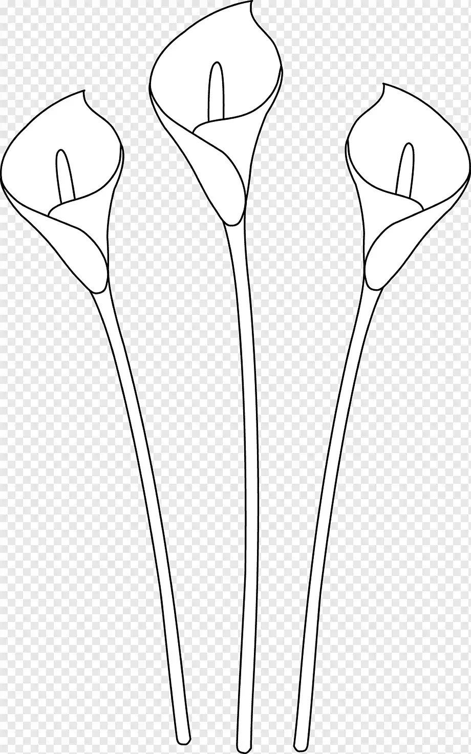 Одуванчик шаблон для рисования