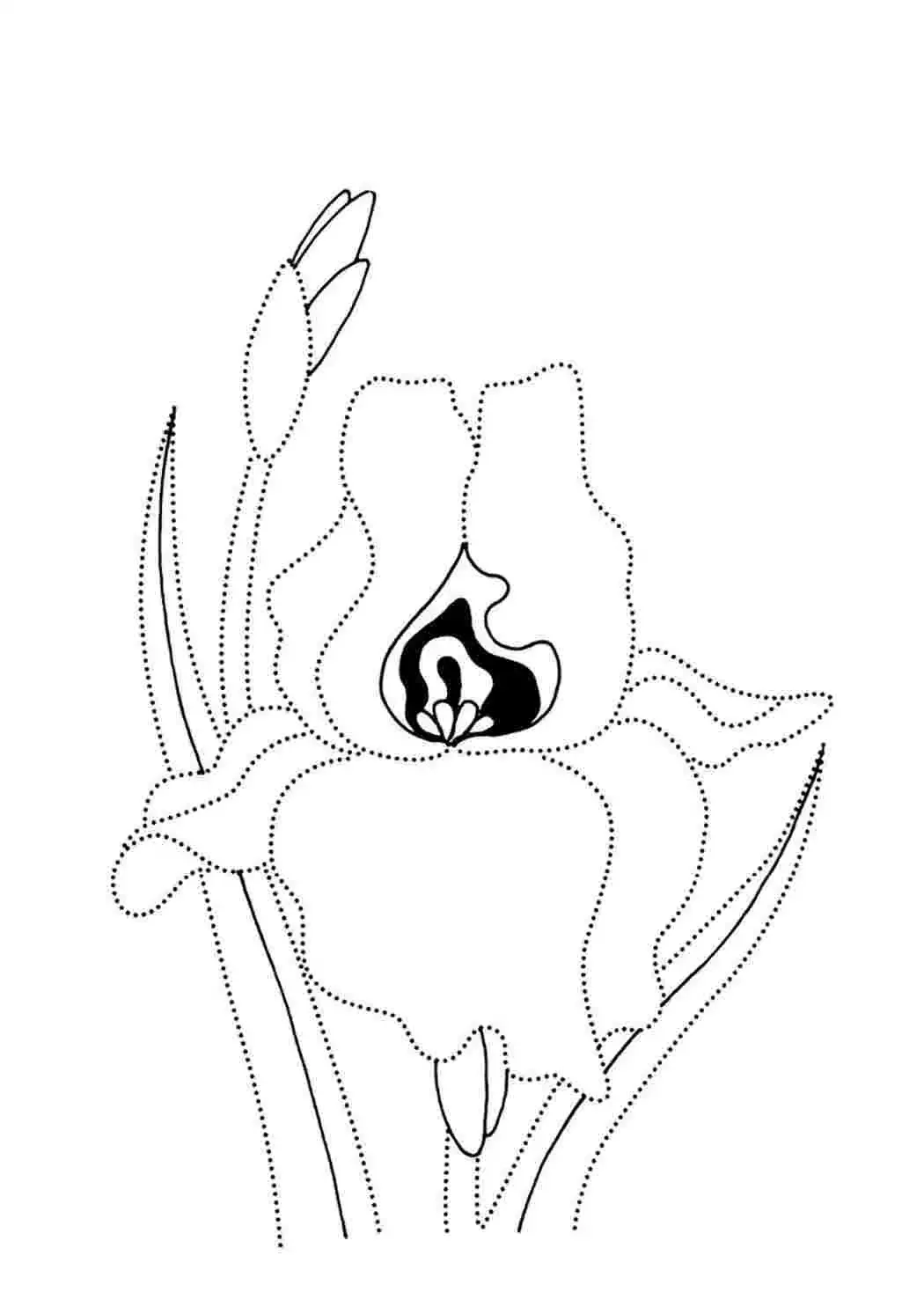 Одуванчик раскраска