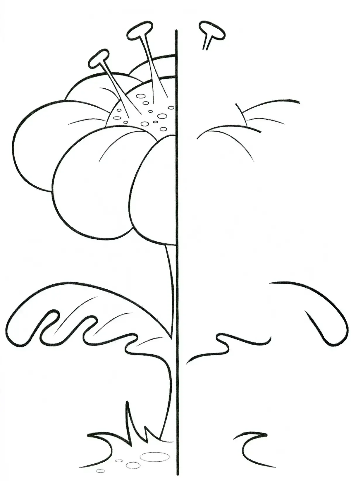 Роза раскраска