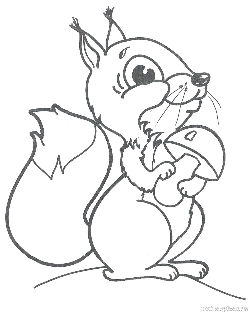 Белка раскраска для детей 3-4 лет