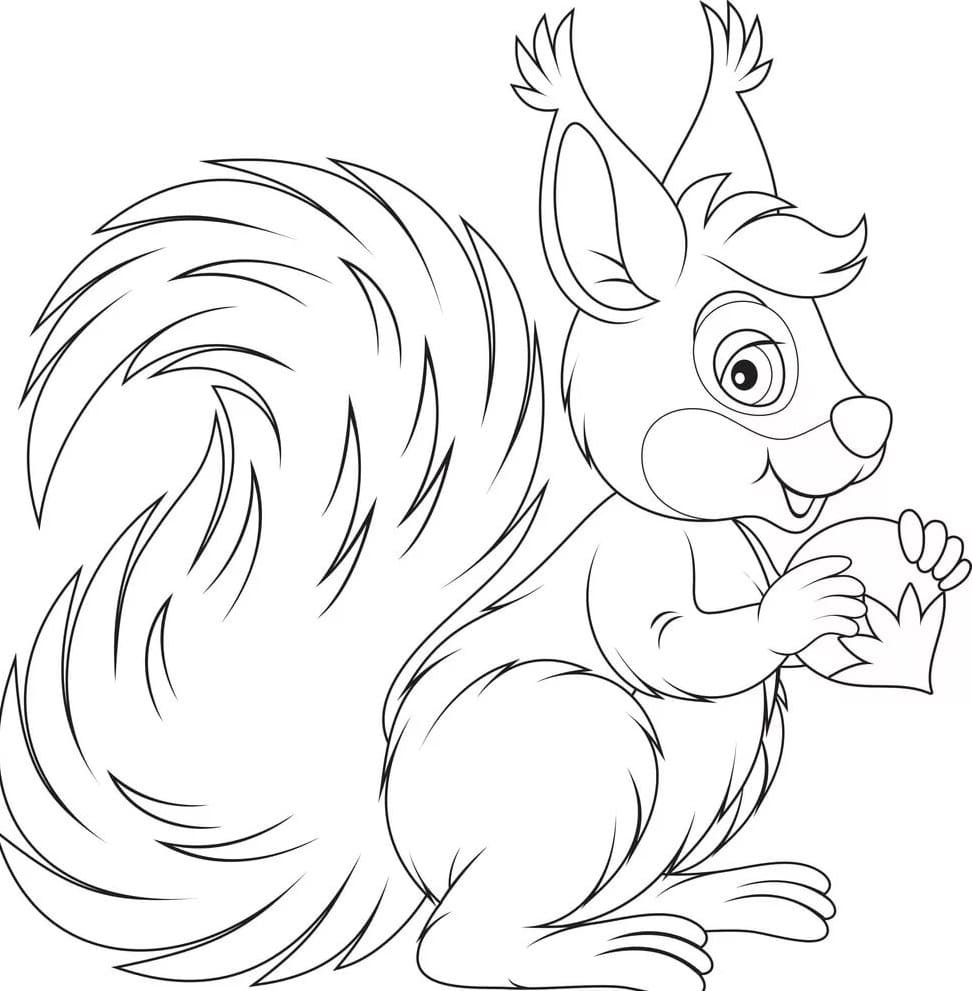 Белка раскраска