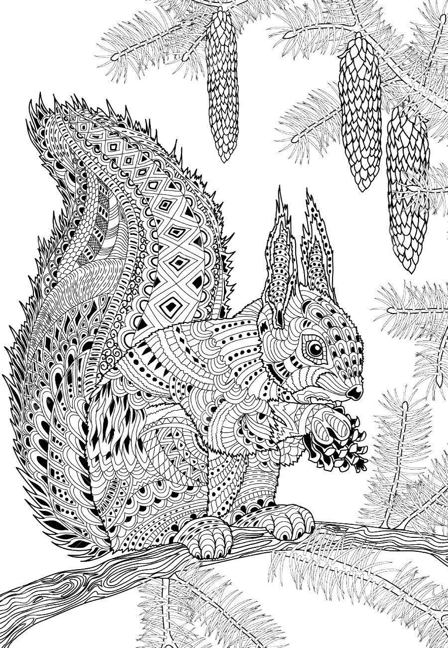 Раскраски антистресс белки