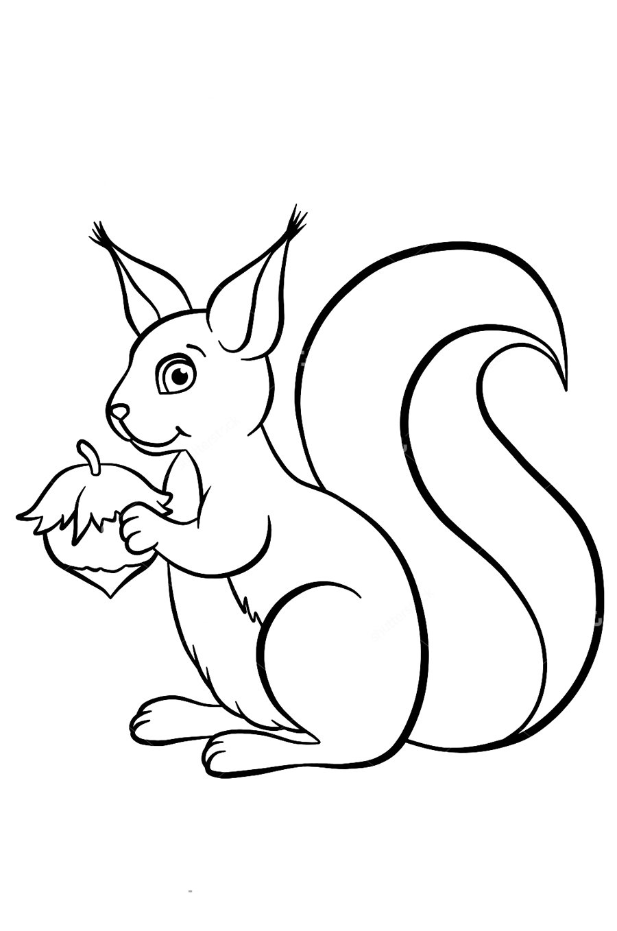 Раскраска Белочка