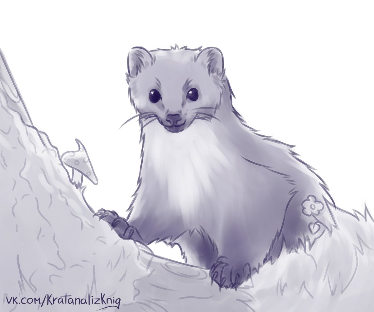 Иллюстрация к рассказу Белогрудка