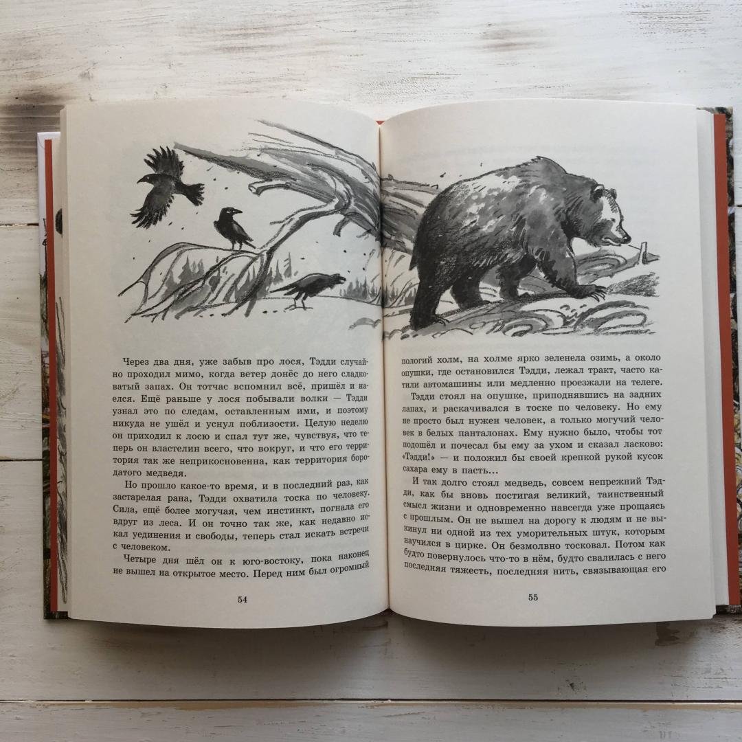 Астафьев Белогрудка сколько страниц