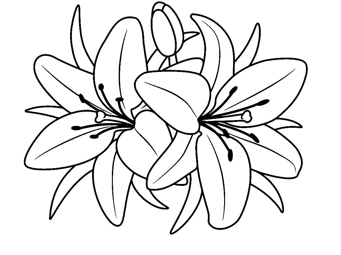 Бабочка раскраска для детей