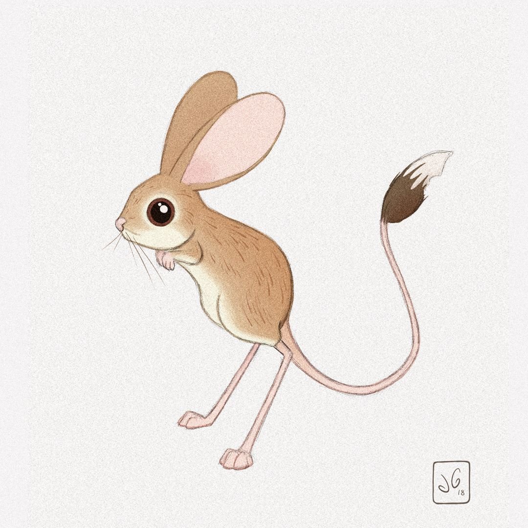 Песчанка мышь раскраска