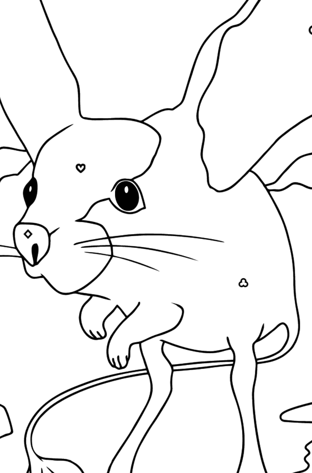 Тушканчик и шиншилла