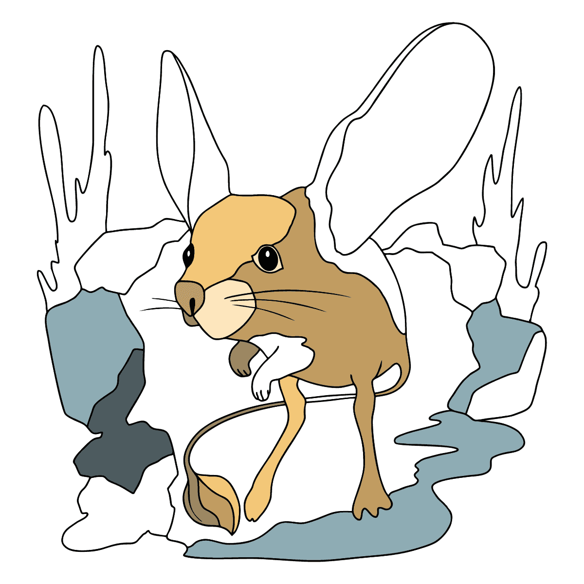 Шиншилла разукрашка шиншилла