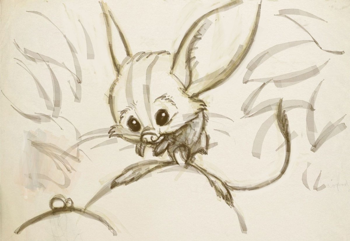 Большой тушканчик раскраска