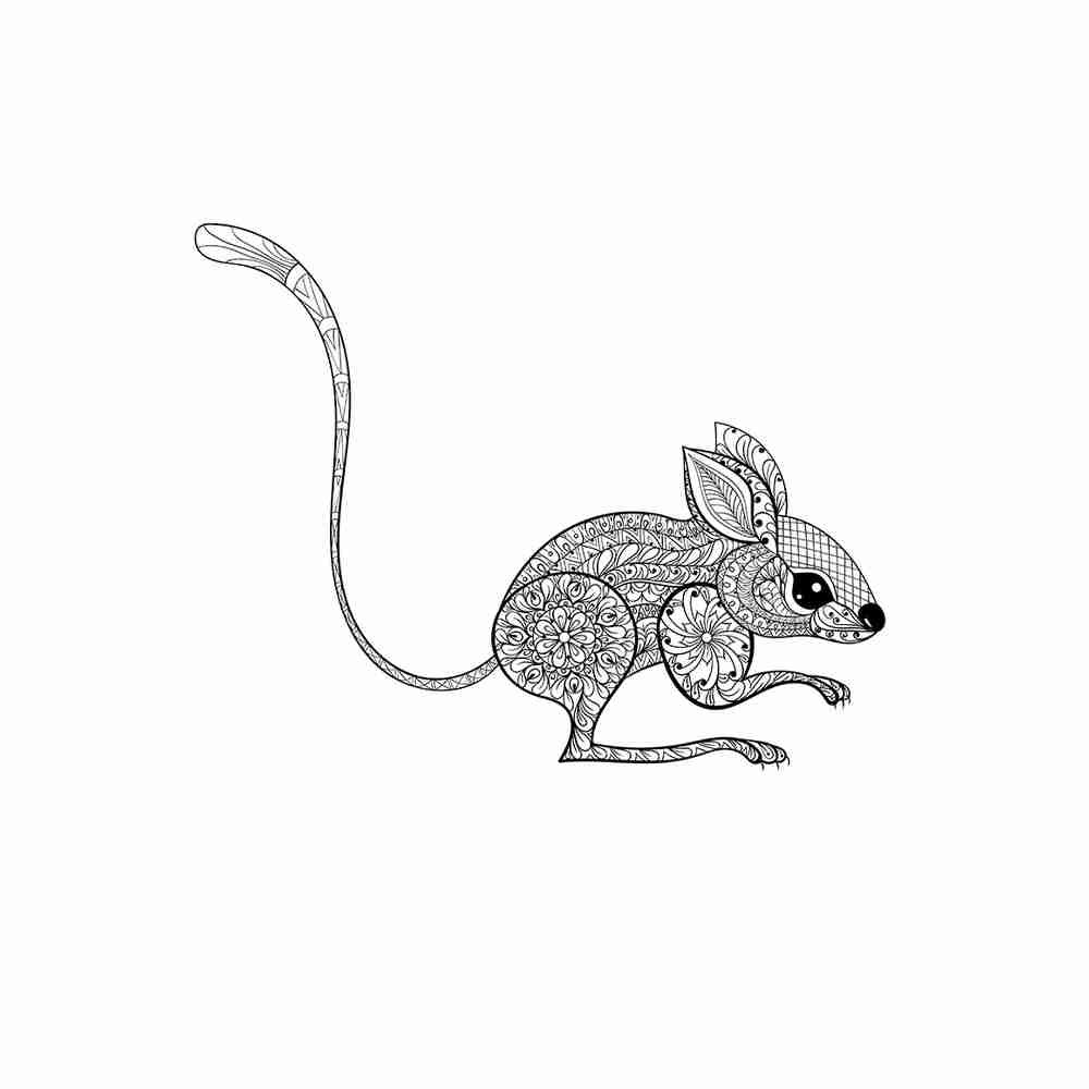 Тушканчик раскраска для детей