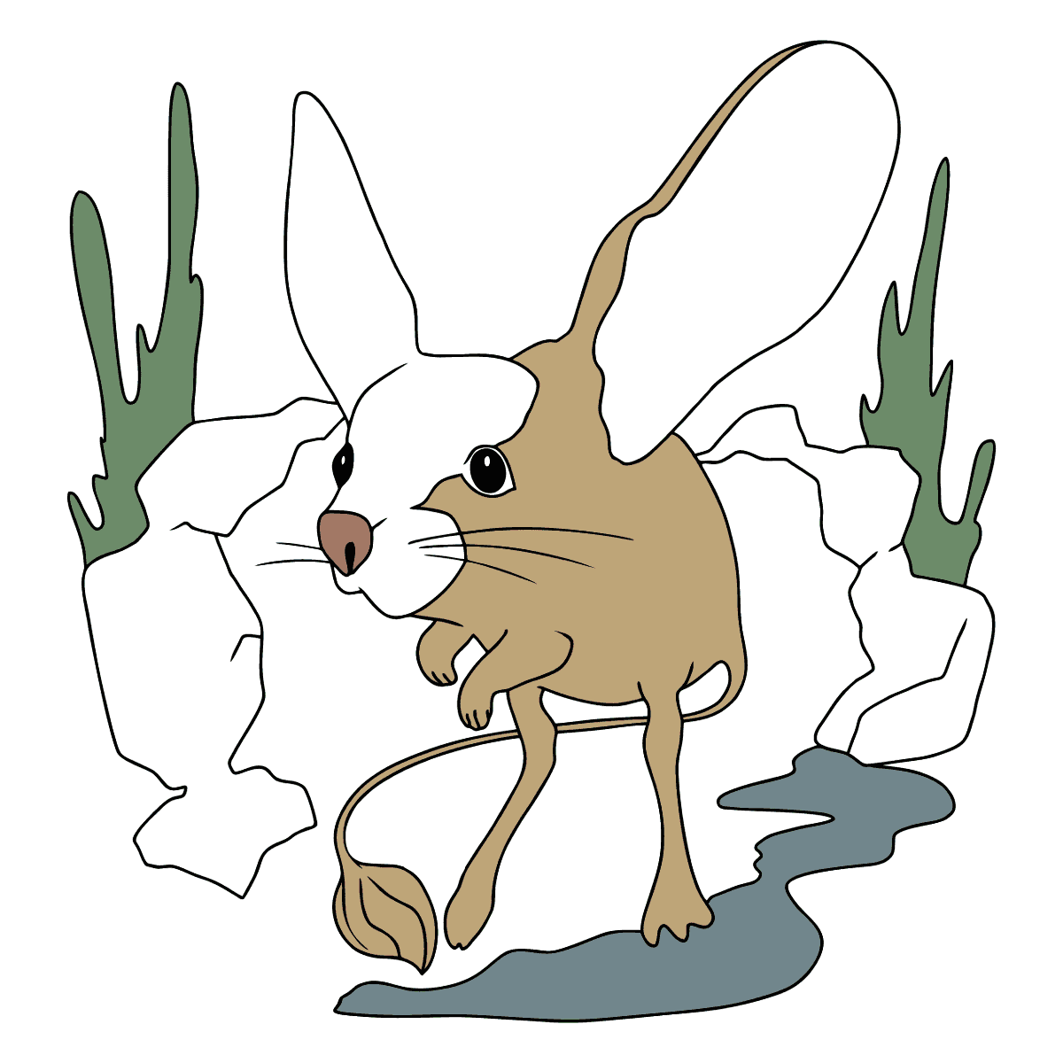 Нарисовать тушканчика